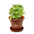 Sprout Tyme Grande Terra Cotta Planter Kit